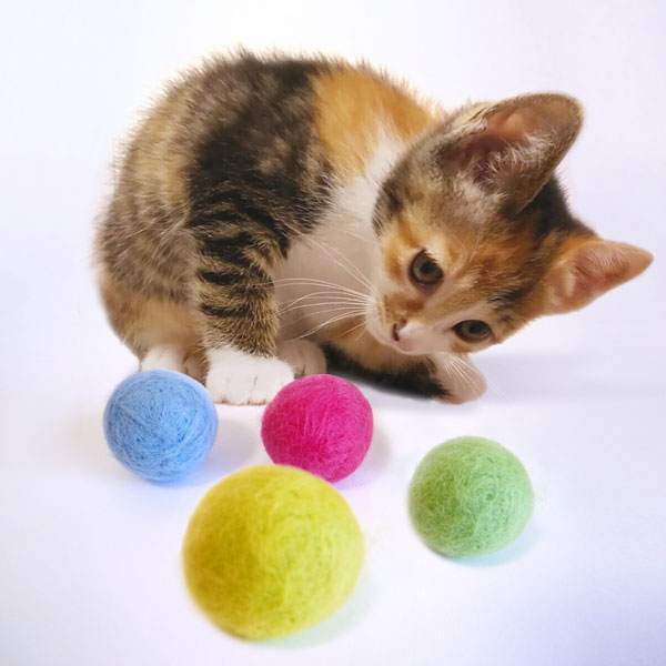 ふんわりコロリンボール 7個入 画像 5